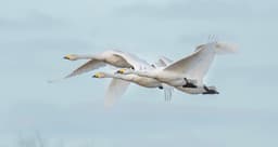 Visually stunning pieces of nature photography with an art gallery touch.
Each photo has mesmerising depth, won't fade from sunlight or contact damage....will last a lifetime.

